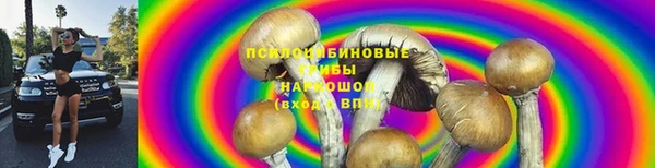 шишки Волосово