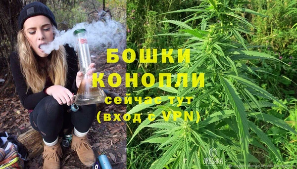 PSILOCYBIN Волоколамск